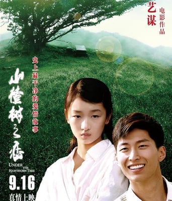 山楂树之恋HD国语中字