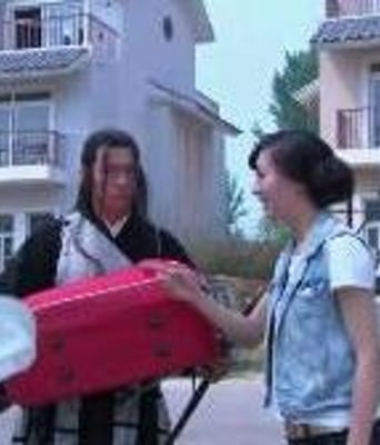 穿越时空之来客HD国语