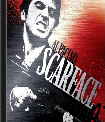 <b><font color='#FF0000'>疤面煞星BD高清1024*5</font></b>