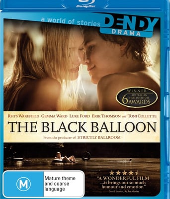 <b><font color='#FF0000'>黑气球BD高清中英双字</font></b>