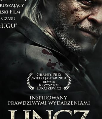 私刑DVD中英双字2010惊