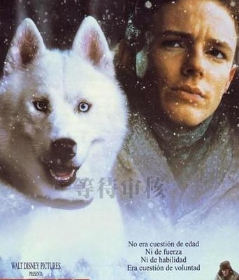 决战冰河DVD中英双字经