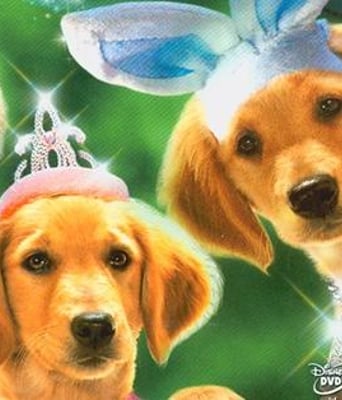 恐怖狗狗BD中英双字