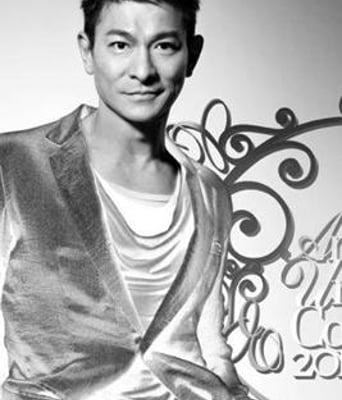 刘德华2010演唱会BD中字