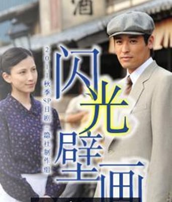 闪光壁画DVD中字2011剧