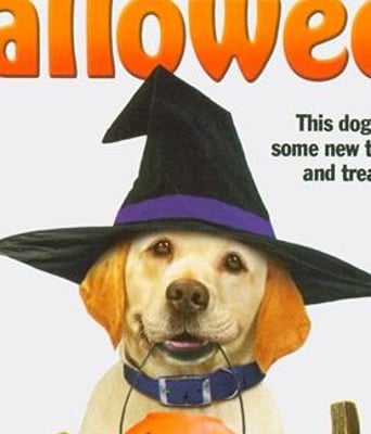 妙狗拯救万圣节DVD中英