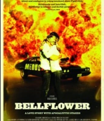 <b><font color='#FF0000'>风铃草BD高清</font></b>