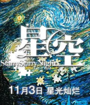星空DVD国语中字2011奇