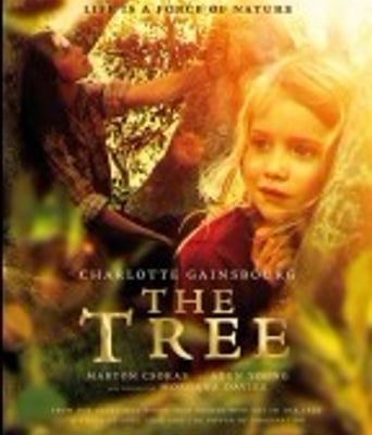 <b><font color='#FF0000'>树/树欲静而心不息/树</font></b>