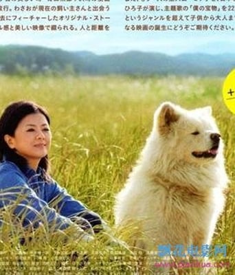 <b><font color='#FF0000'>秋田犬蓬夫/哇沙噢与</font></b>