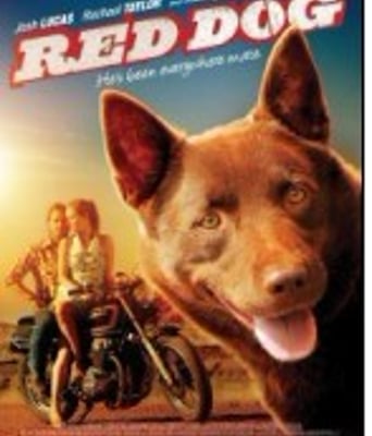 <b><font color='#FF0000'>红犬历险记BD高清</font></b>