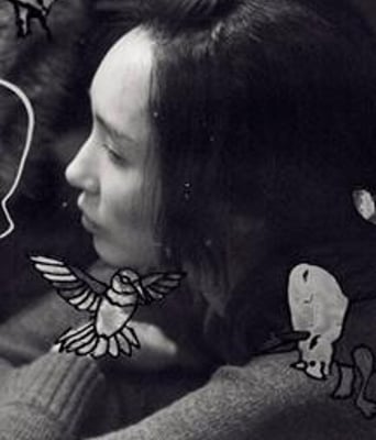 北村方向DVD韩语/中文