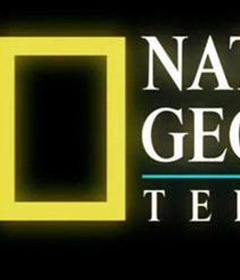 不友善的海豚纪录片美