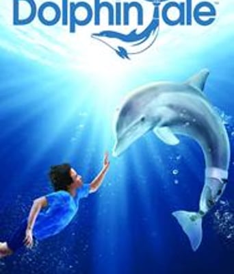 海豚的故事/一只海豚