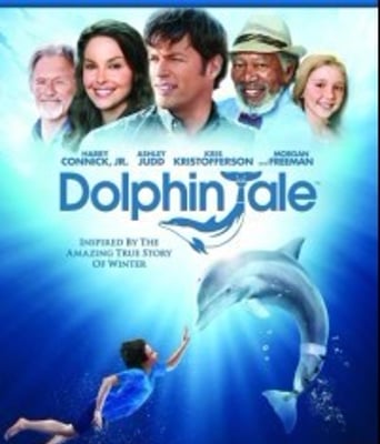 <b><font color='#FF0000'>海豚的故事/一只海豚</font></b>