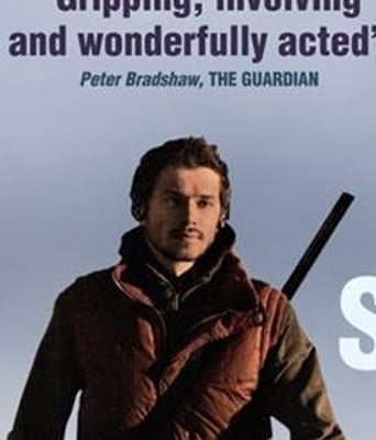 我如何度过这个夏天