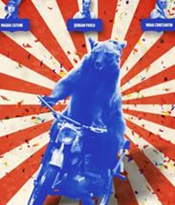 狗熊奇遇DVD中英双字