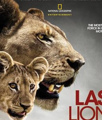 最后的狮子BD中英双字