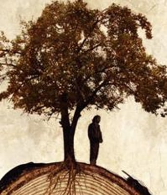 安纳托利亚往事DVD中英