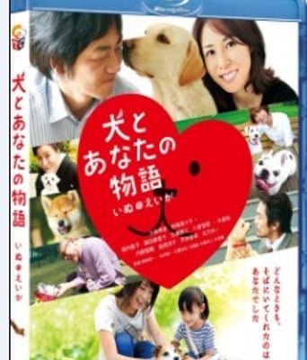 <b><font color='#FF0000'>老友狗狗/狗狗心事B</font></b>