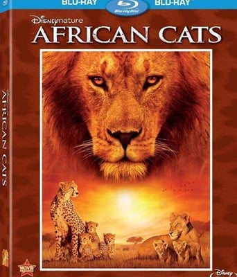 <b><font color='#FF0000'>非洲大猫BD1280高清中字</font></b>