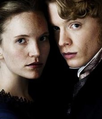 德鲁德之谜BD中英双字