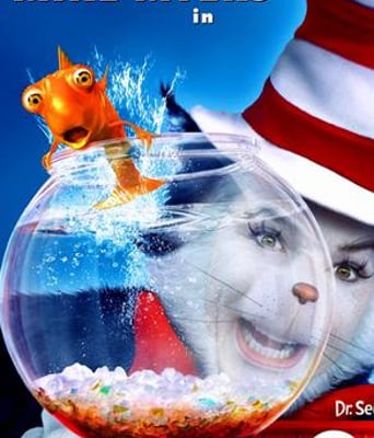 戴帽子的猫/魔法灵猫