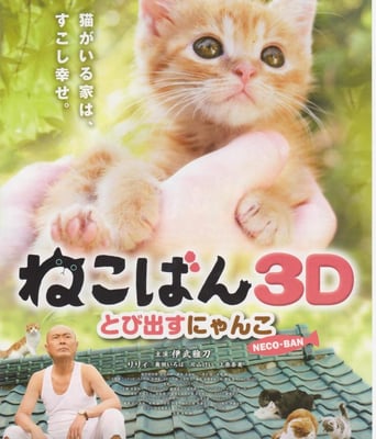 <b><font color='#FF0000'>小猫跳出来粤日双语</font></b>