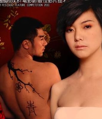 花为眉(邪恶传奇)DVD中