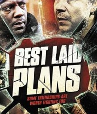 完美计划/最佳计划B