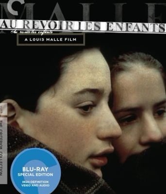 <b><font color='#FF0000'>再见,孩子们/童年再</font></b>