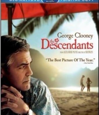 <b><font color='#FF0000'>后裔/后人/继承大丈夫</font></b>