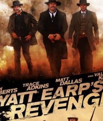 执法悍将DVD中字2012剧