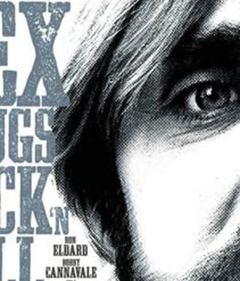 洛迪BD中英双字1280高清