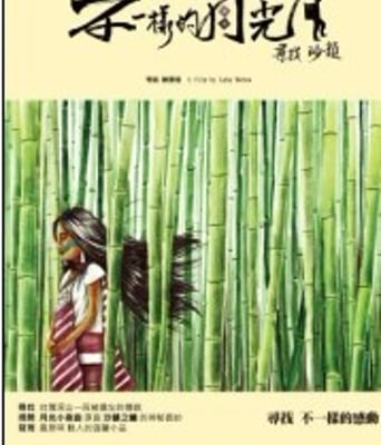 <b><font color='#FF0000'>不一样的月光：寻找沙</font></b>