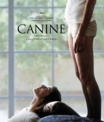 <b><font color='#FF0000'>狗牙/犬齿之家BD1280高</font></b>