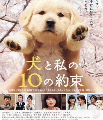 <b><font color='#FF0000'>我和狗狗的10个约定</font></b>