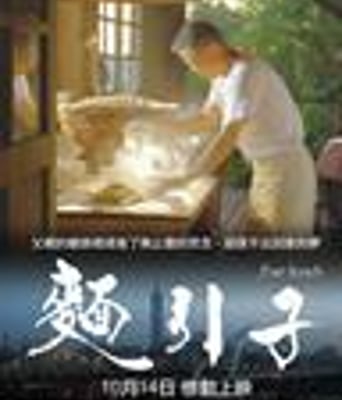 面引子DVD国语中字20