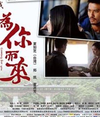 为你而来DVD国语中字