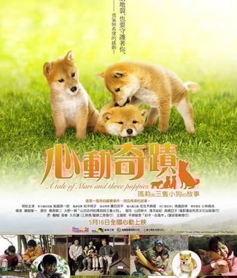 <b><font color='#FF0000'>柴犬奇迹物语HD1280粤语</font></b>