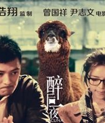 醉后一夜/断了片DVD国