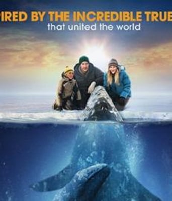 巨大奇迹/鲸奇之旅B