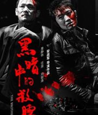 黑暗中的救赎DVD国语中