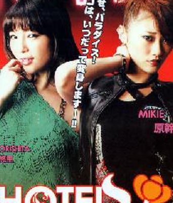 旅店之花DVD中字2012日