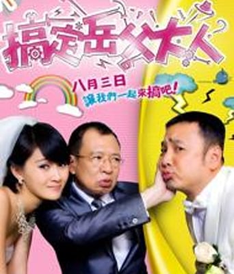 搞定岳父大人DVD国语中