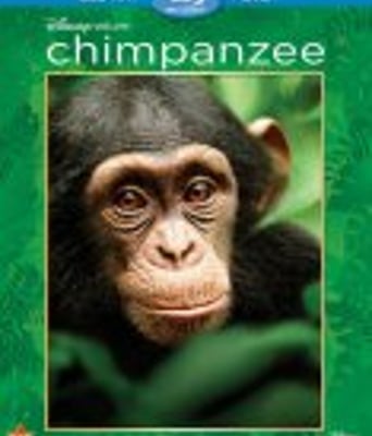 <b><font color='#FF0000'>黑猩猩BD1280高清</font></b>