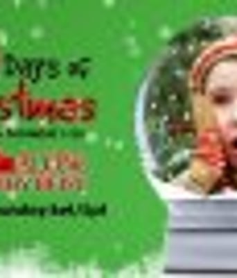 <b><font color='#FF0000'>小鬼当家5:假日劫案</font></b>