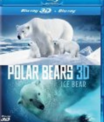 <b><font color='#FF0000'>北极熊:一个夏天的奥</font></b>