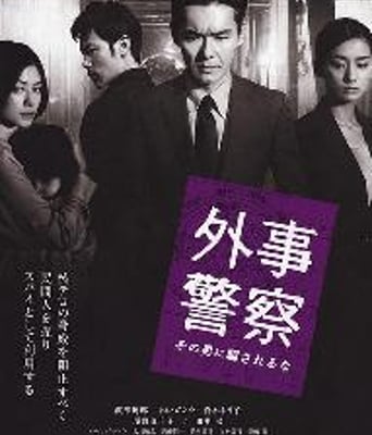 外事警察电影版