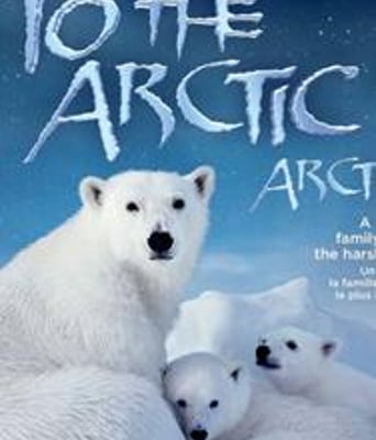 到北极去/北极熊心/破